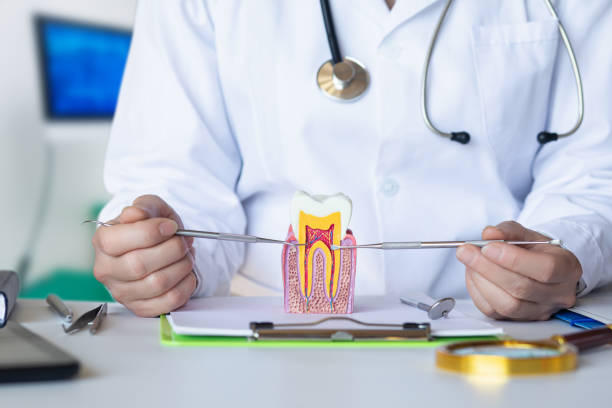 Best Pediatric Emergency Dentist in Bellevue, WI